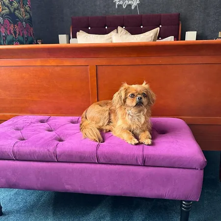 Pensión Finn Village - Loch Lomond - The Jungle With A Private Hot Tub 3*