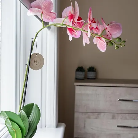 3 Bdr Flat By Caledonia Luxe Short Lets & Serviced Glasgow