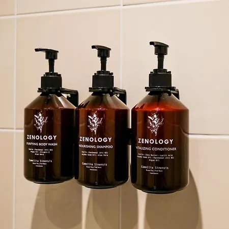 Отель The Social Hub