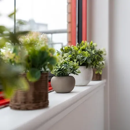 Botanic House - 3br - Private Parking Ferienhaus *