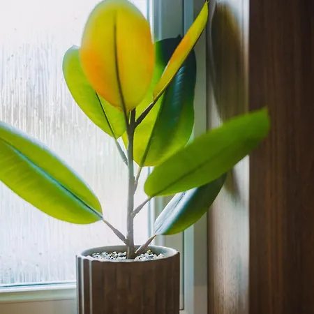 Jw Executive Aparthouse 2 Holiday home *