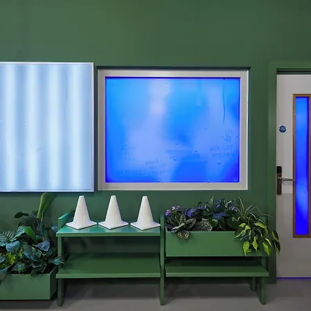 Отель The Social Hub