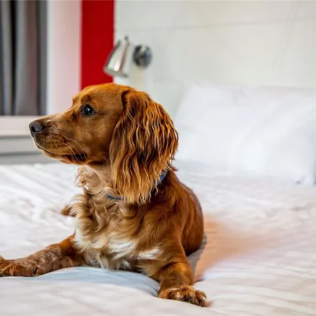 Otel Ibis Styles Glasgow