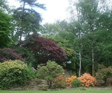 Hotel Barnhill House