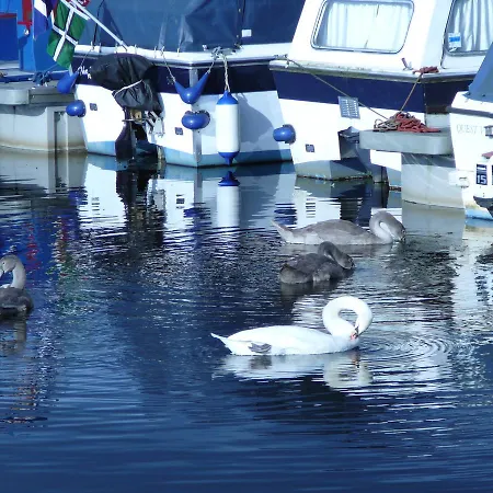 Ξενοδοχείο The Boat House 3*