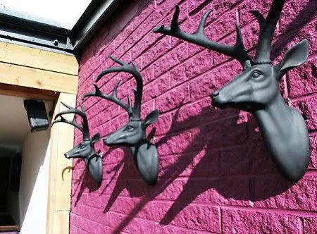 Мини-отель The