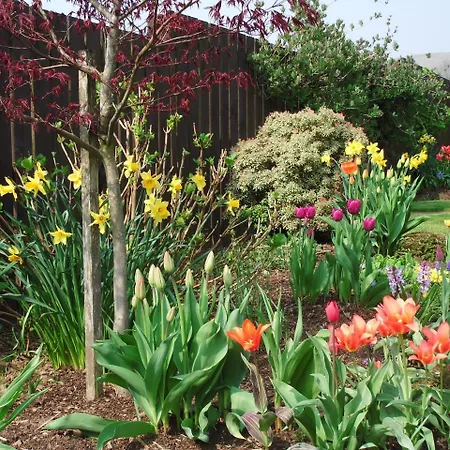 Tambowie Farm Bed & Breakfast