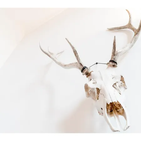 Beautifully Kept Mezzanine Flat ★school Of Art★ 글라스고