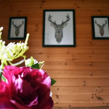 Apartmán At Loch Lomond Glasgow