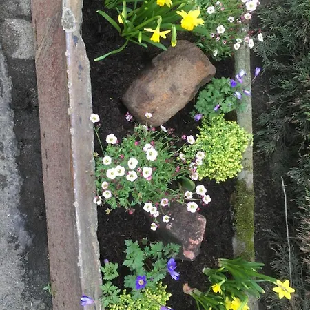 Auchenlea 山林小屋 *