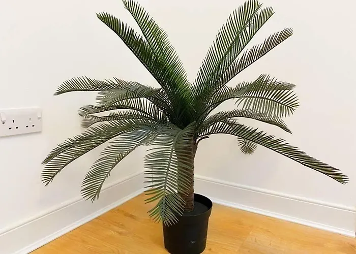 Cozy Nights - Ibrox Street * 글라스고