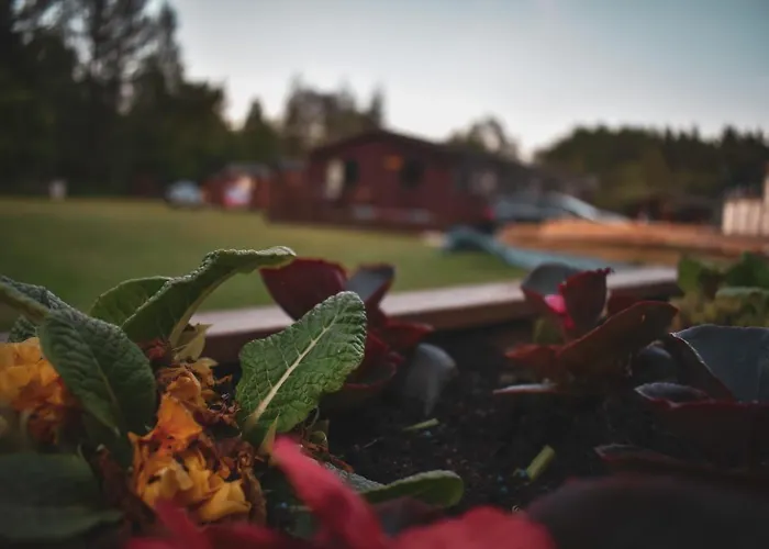 At Loch Lomond Lägenhet *