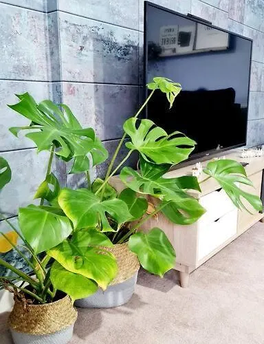 Stylish 2 Bedroom / Free Gated Parking Glasgow