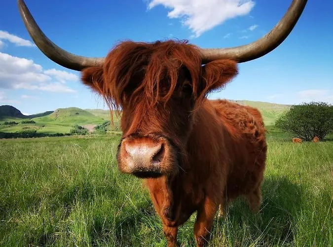 The West Highland Way And Retreat 5*