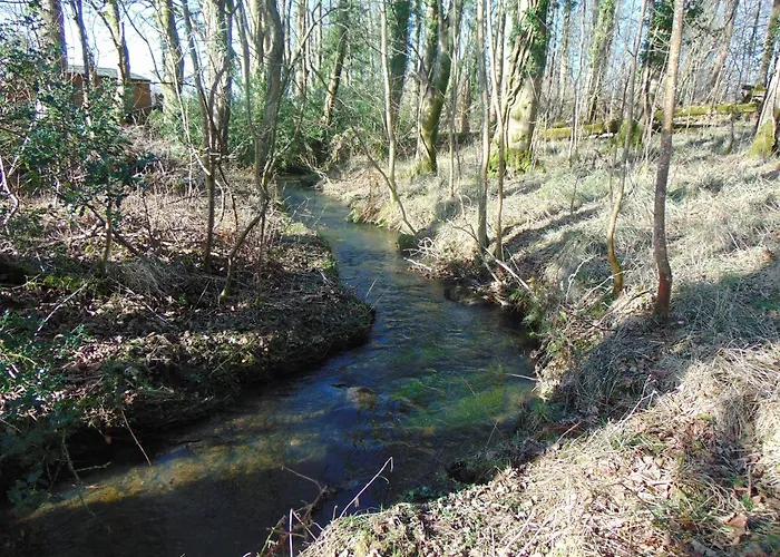 Apartman Dreamwood Cottage, Loch Lomond, Luxury Apartment. Glasgow