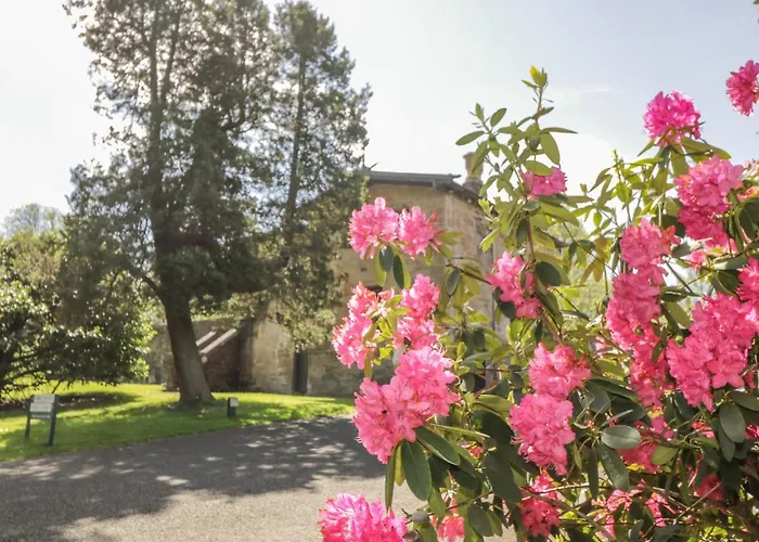 The Coach House - Holmwood Vakantiehuis *