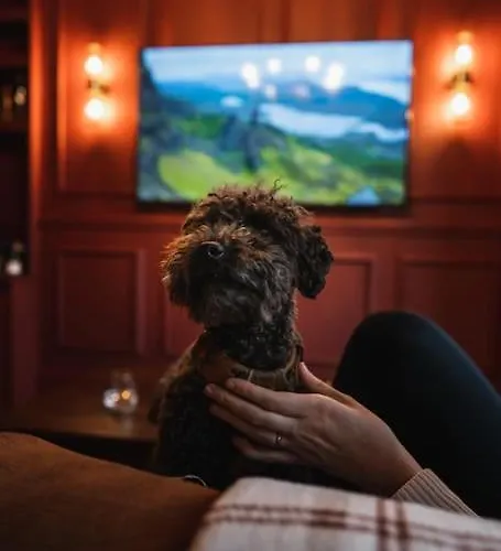 Huntly House - A Like No Other Lägenhet *