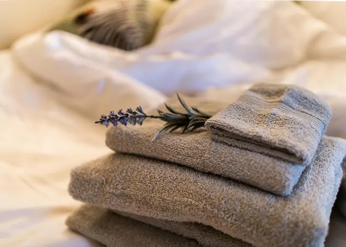 Huntly House - A Like No Other