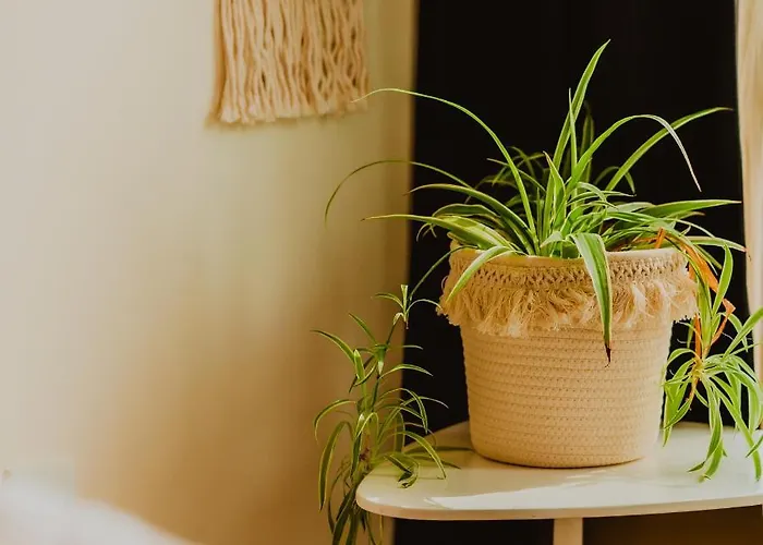 Lovely Bohemian In Heart Of Life *