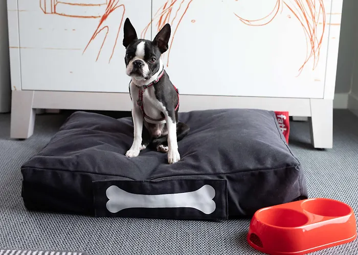 Radisson Red Hotel, Hotell