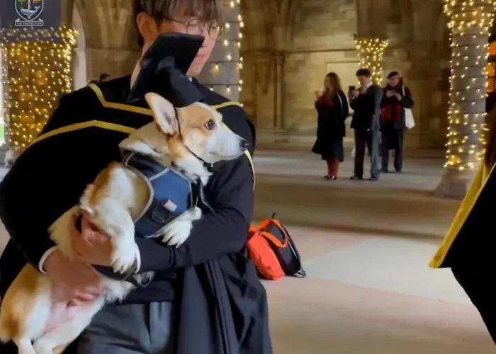 ヴィラ Designer House - Of / 'hillhead' West End G12 - Luxurious & Contemporary Detached House / Terrace / Garden / 'electric Car Charging' Garage Parking *