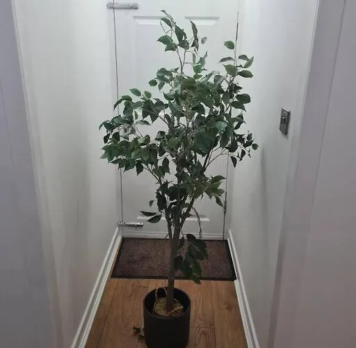 Lovely 2 Bedroom Garden Flat In Trendy West End * グラスゴー