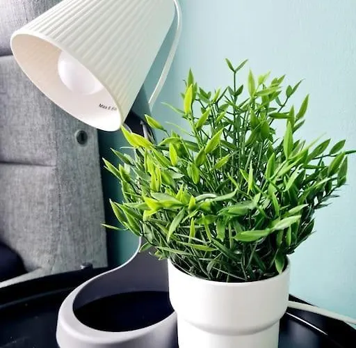 Spacious 5bed House, Free Parking, No Party ! *