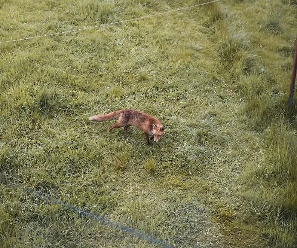 Апартаменты 4 Bedrooms Homely House - Sleeps 6 Comfortably With 6 Double Beds,glasgow, Free Street Parking, Business Travellers, Contractors, & Holiday-goers, Near Major Transport Links In & Centre, Perfect For Common Wealth Games 2026