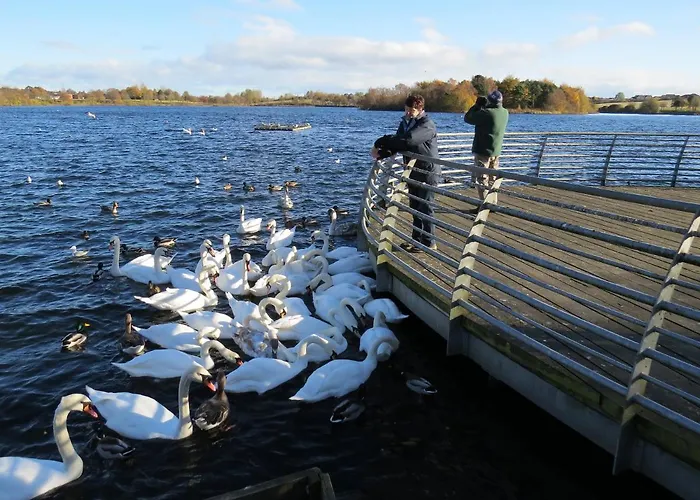 דירה Dunalastair