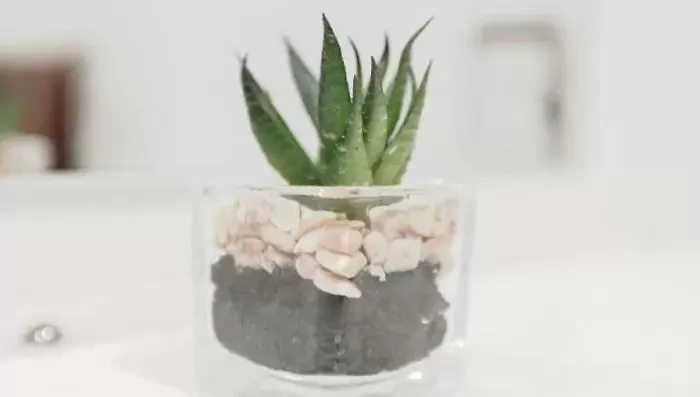 Lejlighed 2 Bedroom In The Heart Of The Centre, Perfect Location Glasgow