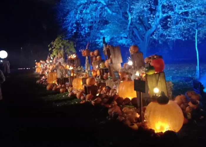 The Georgian House 招待所