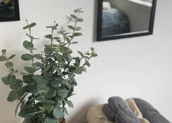 Modern Style , Separate Entrance Apartment *