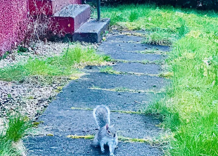 Apartment Modern Style , Separate Entrance *