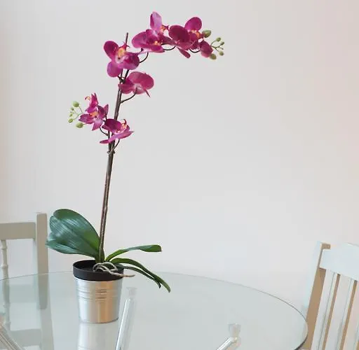 Apartman Mitchell Street