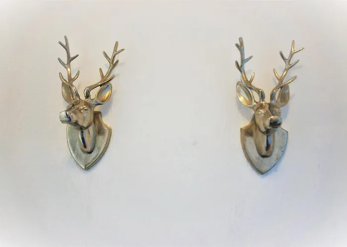 Appartement Bright And Cosy West End Glasgow