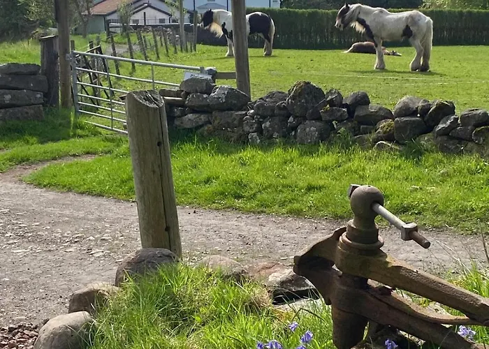 The Fells - Campsie Luxury Pods With Hot Tub Luksusowy namiot *