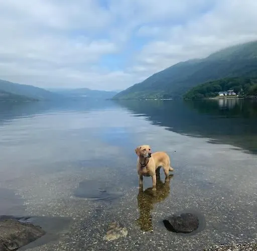 Lomond View شاليه *