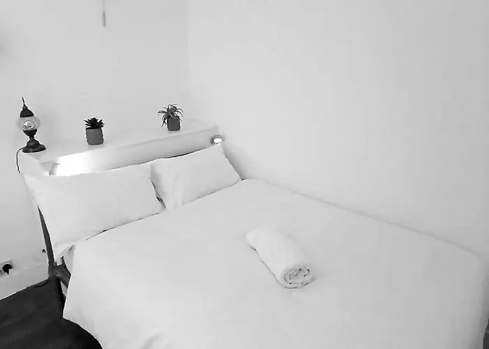 Campus Oasis Apartament