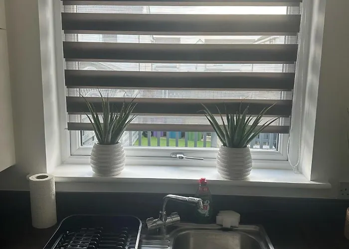 Black Daisy Appartement *