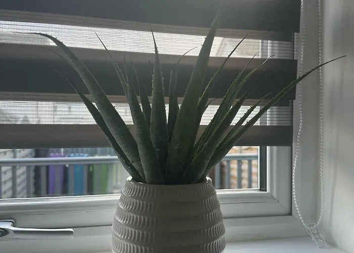 Appartement Black Daisy Glasgow