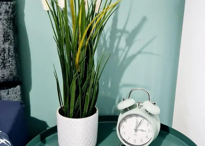 Bright 3br Walking Distance To Town - Free Parking