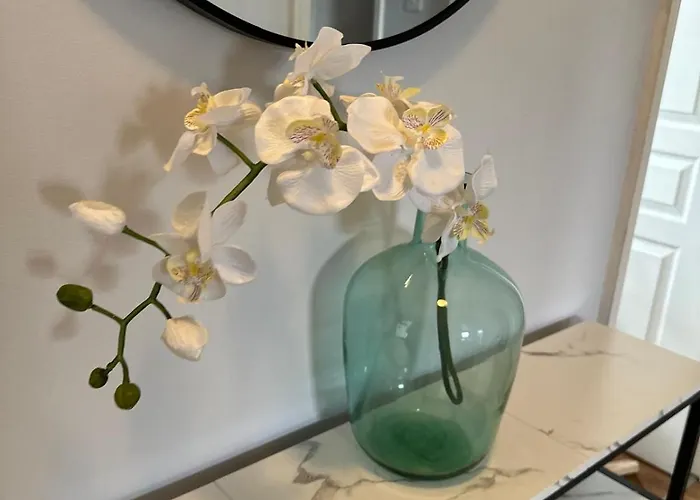 Modern Economy With King Bed アパート *