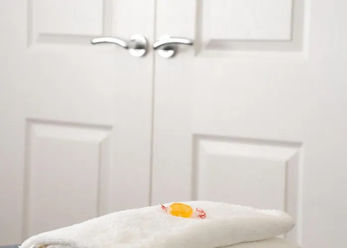 Dom wakacyjny Bartonshill House *