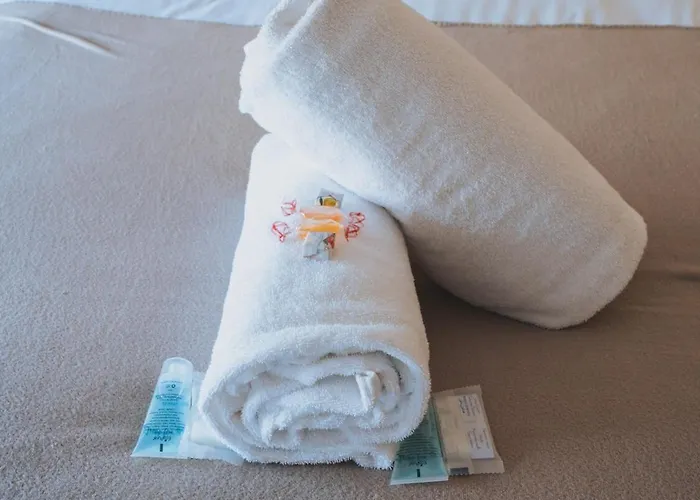 Stylish 3br Near Hampden No 264 With Free Parking Apartment