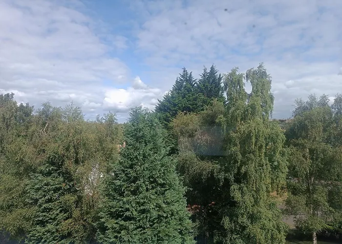 公寓 Modern Three-bedroom In Leafy West End With Private Parking 格拉斯哥