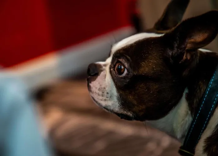 Ibis Styles فندق غلاسغو