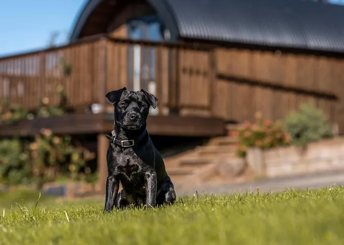 Appartamento Luxury Glamping Pods - The Heft & The Hirsel Glasgow