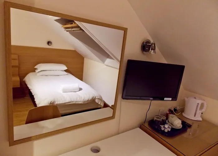 Victorian House Hotel 3*