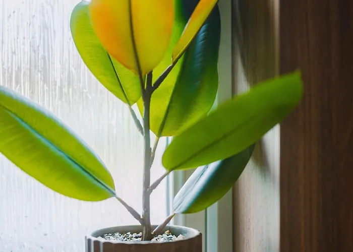 Jw Executive Aparthouse 2 別荘 *