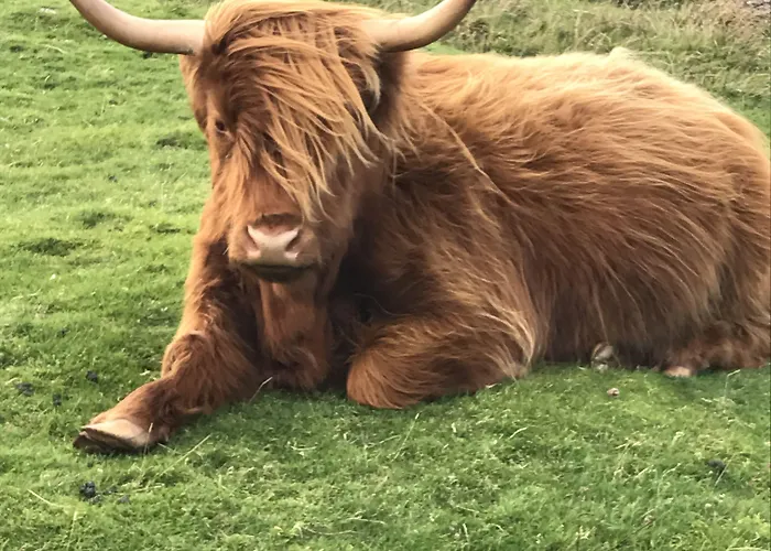 The West Highland Way ホテル グラスゴー